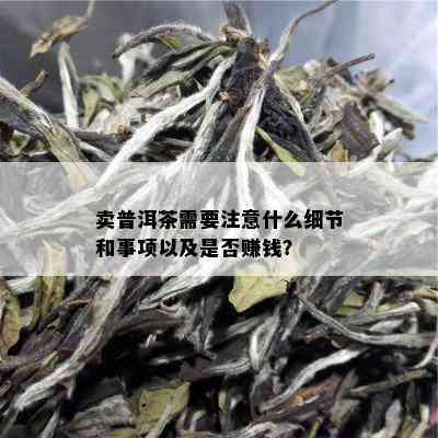 卖普洱茶需要注意什么细节和事项以及是否赚钱？