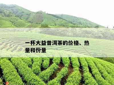 一杯大益普洱茶的价格、热量和份量