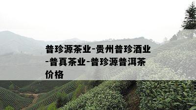 普珍源茶业-贵州普珍业-普真茶业-普珍源普洱茶价格