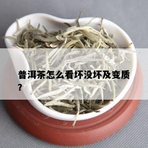 普洱茶怎么看坏没坏及变质？