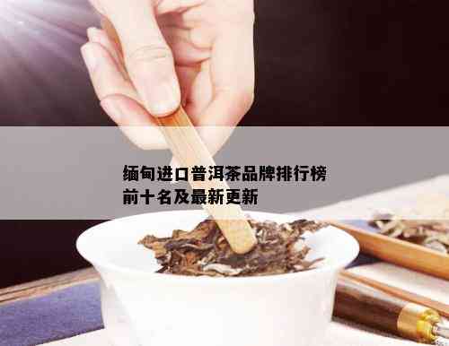 缅甸进口普洱茶品牌排行榜前十名及最新更新