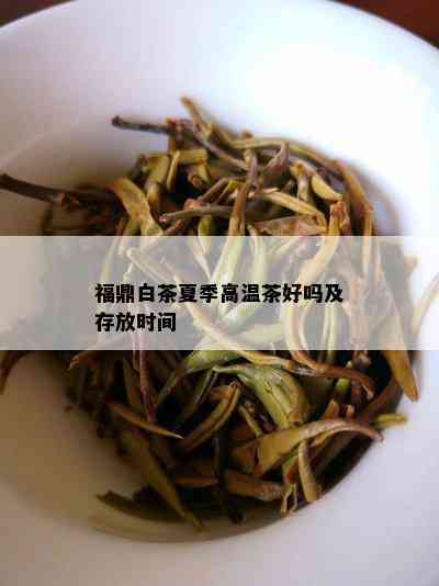 福鼎白茶夏季高温茶好吗及存放时间