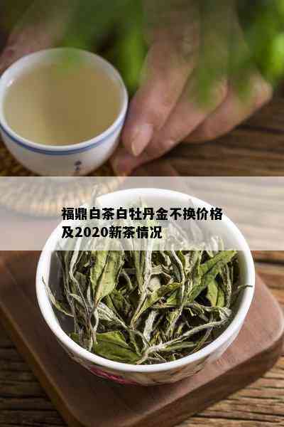 福鼎白茶白牡丹金不换价格及2020新茶情况