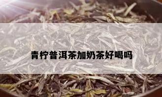 青柠普洱茶加奶茶好喝吗