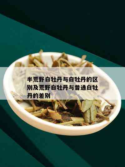 半荒野白牡丹与白牡丹的区别及荒野白牡丹与普通白牡丹的差别