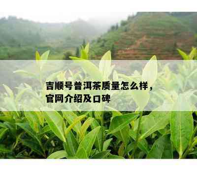 吉顺号普洱茶质量怎么样，官网介绍及口碑