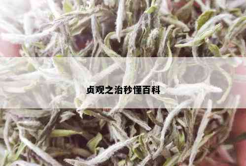 贞观之治秒懂百科