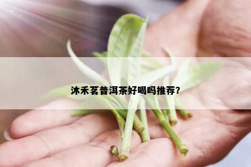 沐禾茗普洱茶好喝吗推荐？