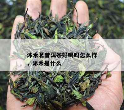 沐禾茗普洱茶好喝吗怎么样，沐禾是什么