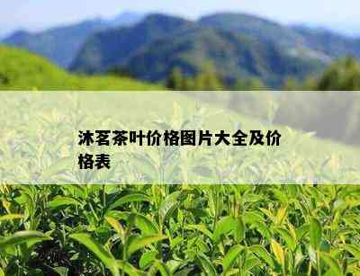 沐茗茶叶价格图片大全及价格表