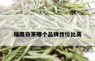 福鼎白茶哪个品牌性价比高