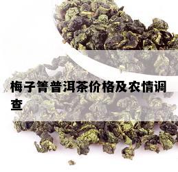 梅子箐普洱茶价格及农情调查