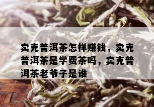 卖克普洱茶怎样赚钱，卖克普洱茶是学费茶吗，卖克普洱茶老爷子是谁