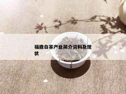 福鼎白茶产业简介资料及现状