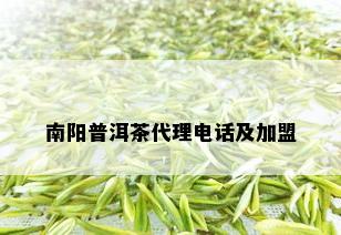 普洱茶代理电话及加盟