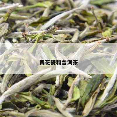 青花瓷和普洱茶