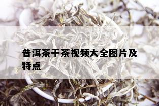 普洱茶干茶视频大全图片及特点