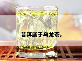 普洱属于乌龙茶。