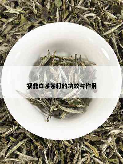 福鼎白茶茶籽的功效与作用