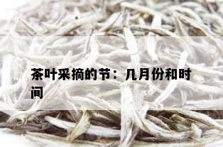 茶叶采摘的节：几月份和时间