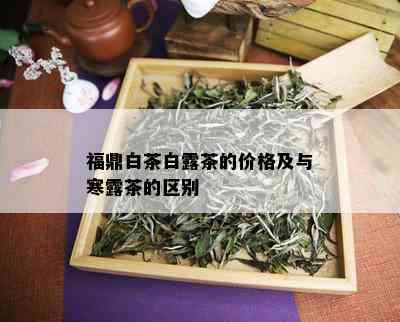 福鼎白茶白露茶的价格及与寒露茶的区别