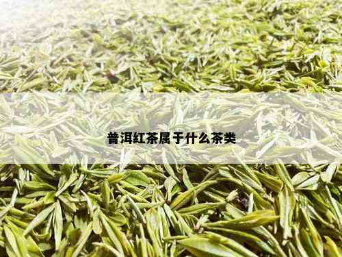 普洱红茶属于什么茶类