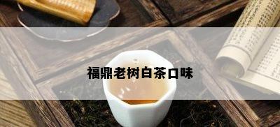 福鼎老树白茶口味