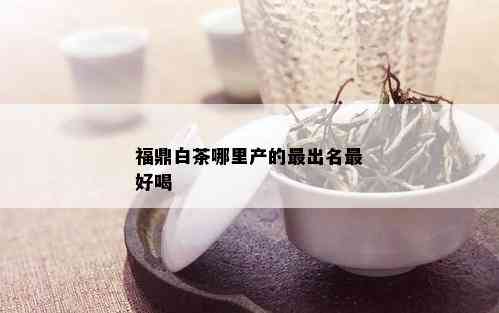 福鼎白茶哪里产的最出名更好喝