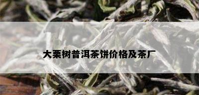 大栗树普洱茶饼价格及茶厂