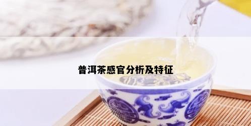 普洱茶感官分析及特征