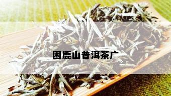 困鹿山普洱茶广