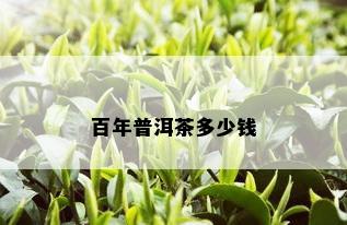 百年普洱茶多少钱