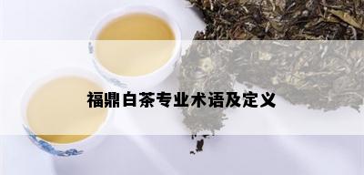 福鼎白茶专业术语及定义