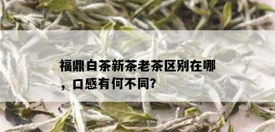 福鼎白茶新茶老茶区别在哪，口感有何不同？