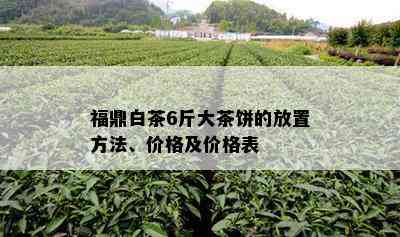 福鼎白茶6斤大茶饼的放置方法、价格及价格表