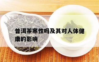 普洱茶寒性吗及其对人体健康的影响