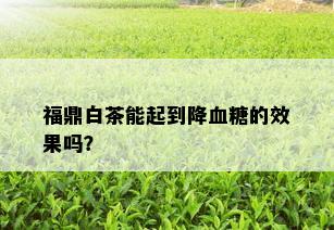 福鼎白茶能起到降血糖的效果吗？