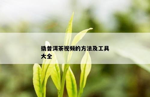 撬普洱茶视频的方法及工具大全