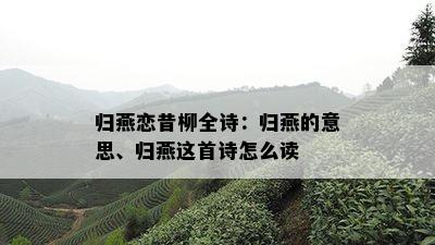 归燕恋昔柳全诗：归燕的意思、归燕这首诗怎么读