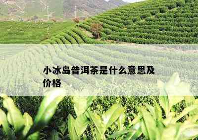 小冰岛普洱茶是什么意思及价格