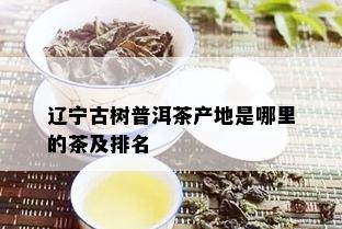 辽宁古树普洱茶产地是哪里的茶及排名