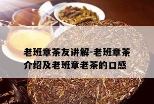 老班章茶友讲解-老班章茶介绍及老班章老茶的口感