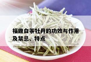 福鼎白茶牡丹的功效与作用及禁忌、特点