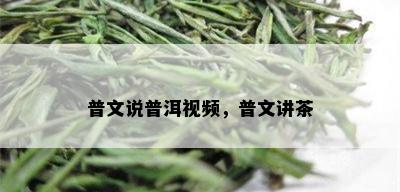 普文说普洱视频，普文讲茶