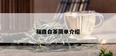 福鼎白茶简单介绍