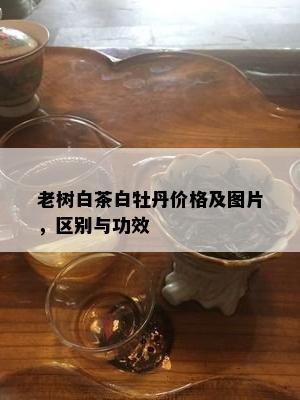 老树白茶白牡丹价格及图片，区别与功效