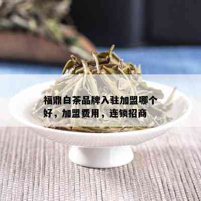 福鼎白茶品牌入驻加盟哪个好，加盟费用，连锁招商