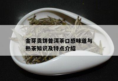 金芽贡饼普洱茶口感味道与熟茶知识及特点介绍