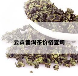 云贡普洱茶价格查询