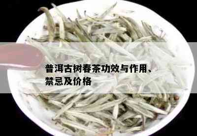 普洱古树春茶功效与作用、禁忌及价格